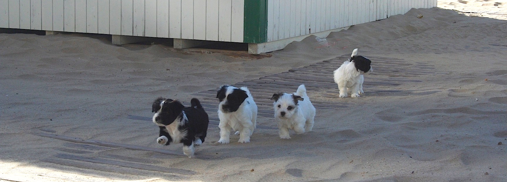 File plage